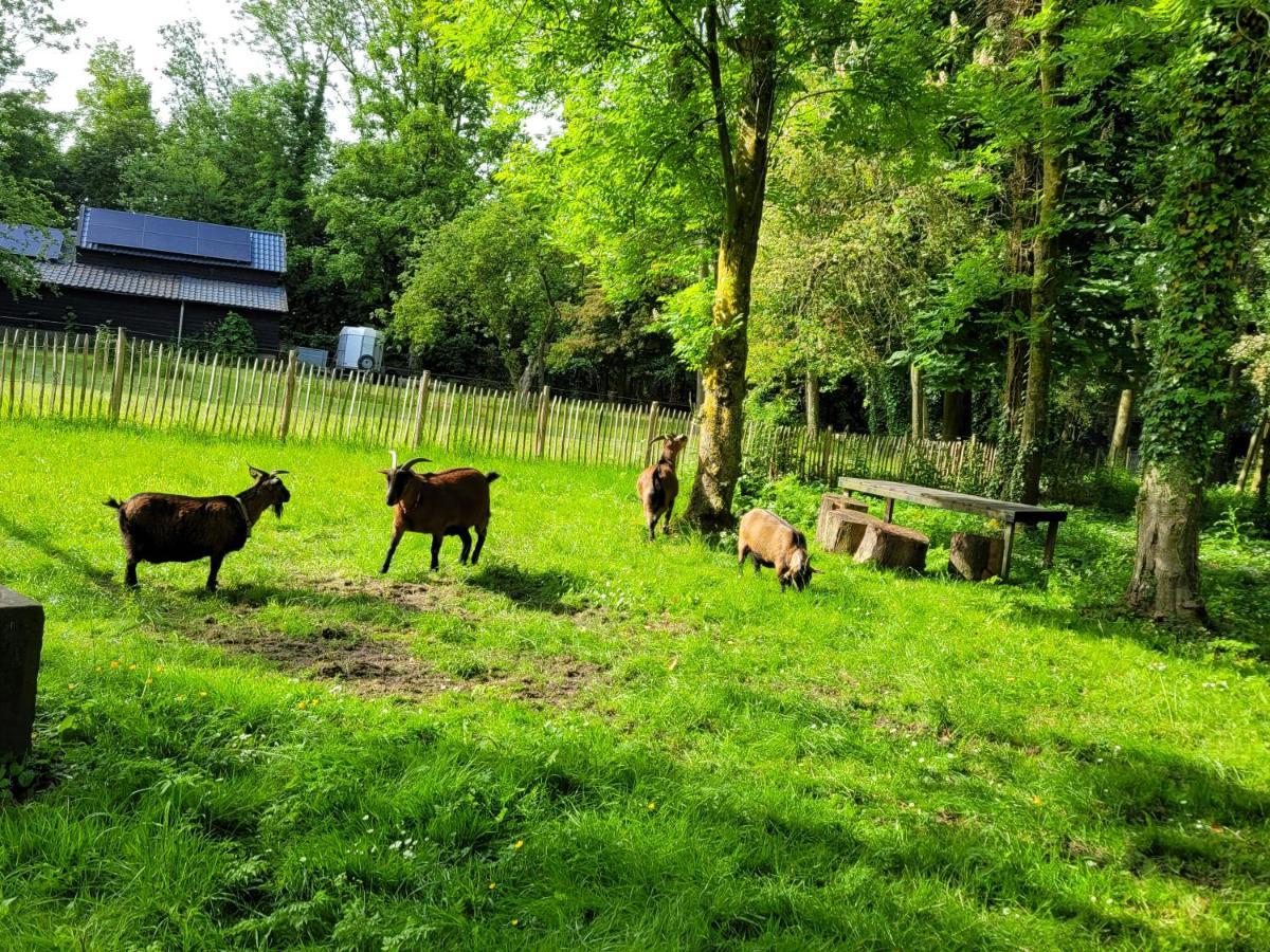 Pastorie Waaxens Bed & Breakfast Dış mekan fotoğraf
