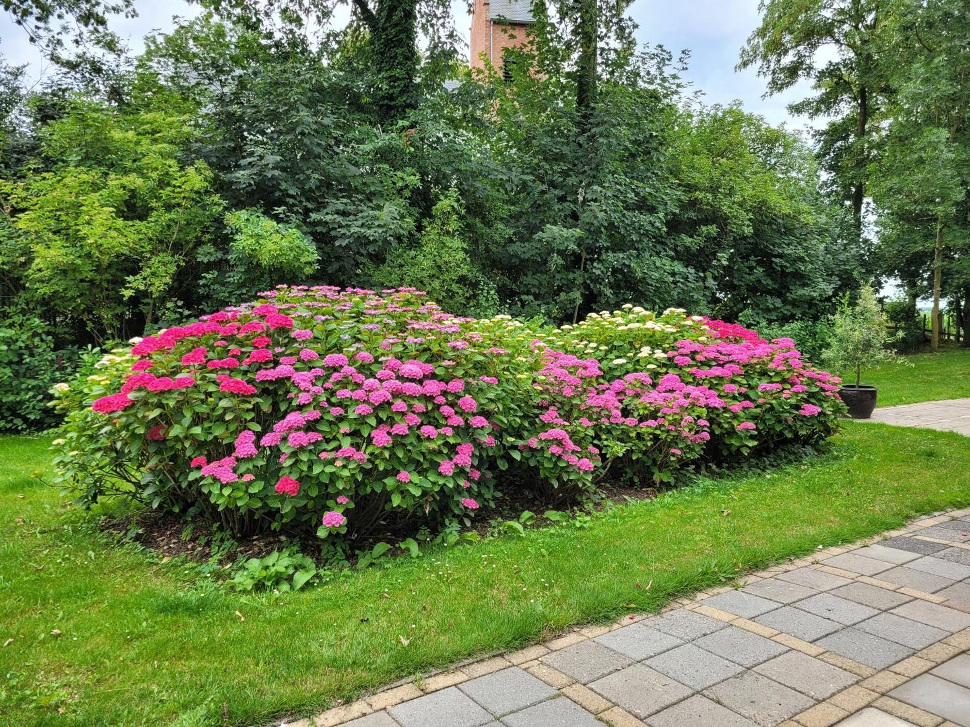 Pastorie Waaxens Bed & Breakfast Dış mekan fotoğraf